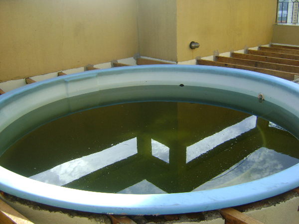 img-produto-grande